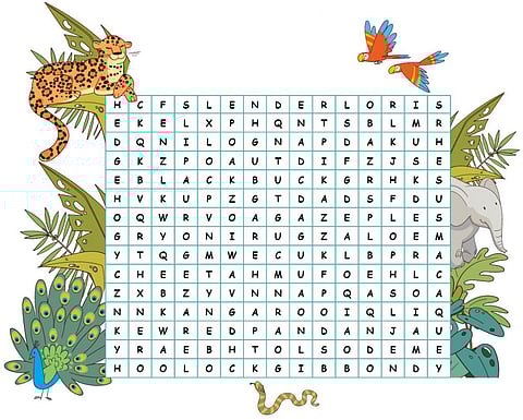 Gobar Times: Wild words safari