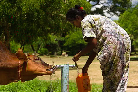WAAW 2025: Sri Lanka’s One Health journey in combating antimicrobial resistance — from commitment to collective action