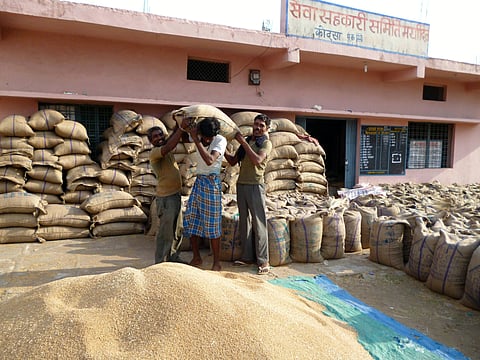 A sack of wheat bags in a cooperative society in Madhya Pradesh.