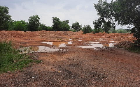 Green resistance in the gravel mining belt: Paschim Bardhaman’s wolves stand between forest and fortune