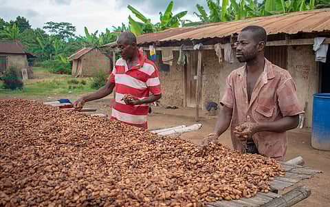 Developing nations at risk of missing out on the fruits of a new green economy: CSE