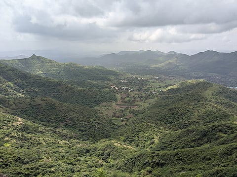 COP30: One billion hectares needed to meet climate promises, shows report