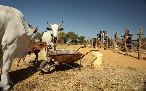 WAAW 2025: The challenge of AMR is how best to create awareness among the general public