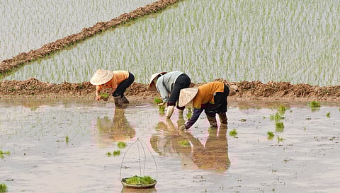 Global Methane Status Report warns of rising emissions but charts path to 2030 progress