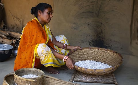 The grain that refuses to die: Of Sorghum and the Santal women of Mayurbhanj