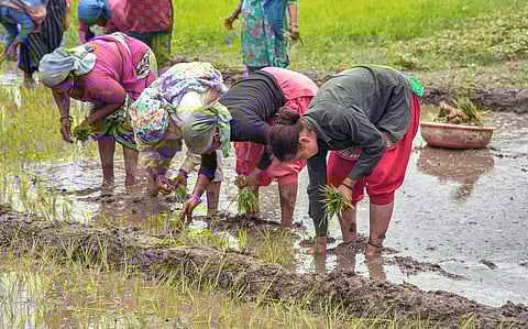Hedging the harvest: Why India needs a COP30 push for weather risk markets