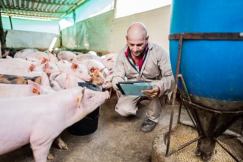 WAAW 2025: LMICs can lead next phase of AMR fight with smarter, affordable tools