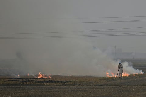 Crop-residue burning turning India into global methane hotspot, UN report warns