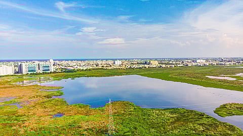 WAAW 2025: Citizen science to drive AMR containment