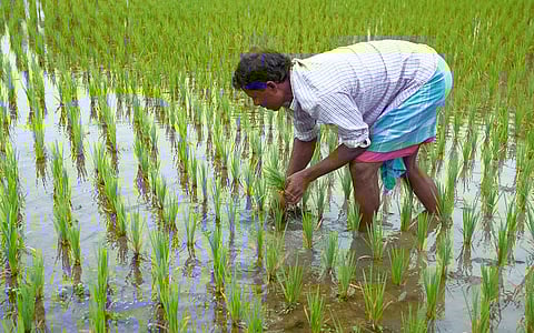 COP30 offers India a singular opportunity to address its methane blind spot