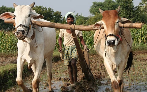 Indian farmers must be central to carbon projects