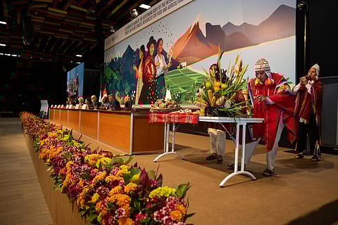 Digital genetics threatens seed sovereignty and farmers’ rights, UN rapporteur cautions