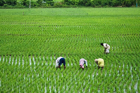 Reimagining farming in Bengal’s changing ecology: Bridging science and reality