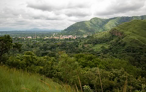 Africa’s forests transitioned from carbon sink to net carbon source