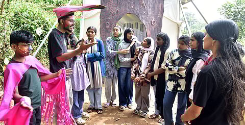 Where a bird warns a mountain: Wayanad’s first bird festival and the message it cannot ignore