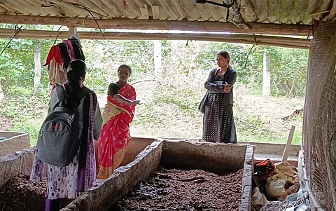Women at the grassroots: Coffee farmers and SHG Sakhis are building resilient food systems