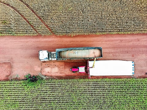 How unsustainable global supply chains exacerbate food insecurity