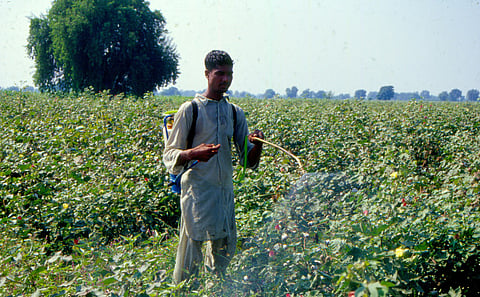 Preventing blindness in India’s cotton belts does not require miracles; rather, it requires acknowledgment