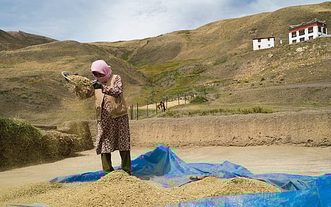 Why agricultural land in Himachal Pradesh should be left for farmers of the state 