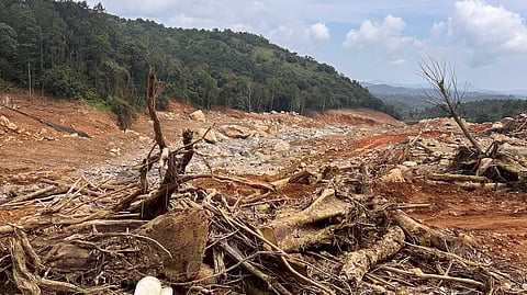 A ward that vanished: Mundakkai, the village that Kerala lost