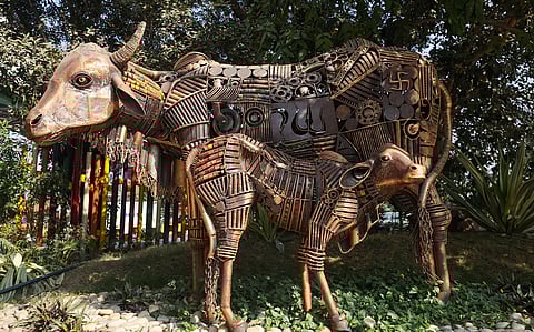 Noida’s ode to sustainability, wildlife and waste management