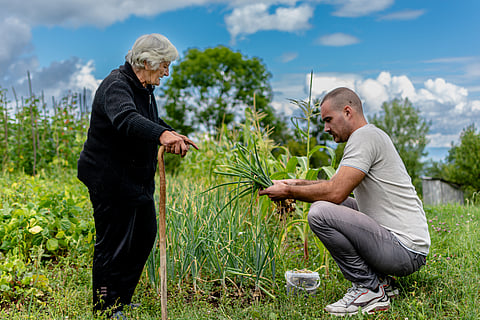 Growing a mix of plants in fields can save farmers money and help the environment — new research