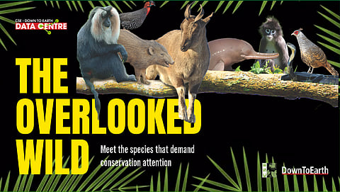 Looking beyond charismatic megafauna