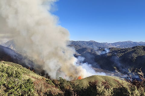 Nagaland: Tourists visiting protected area in Kohima district trigger major fire mishap