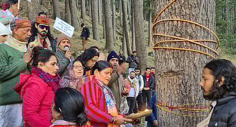 How many to cut? Controversy and opposition grow over tree felling to widen Uttarakhand’s Gangotri Highway