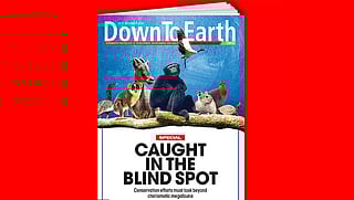 Highlights from the issue