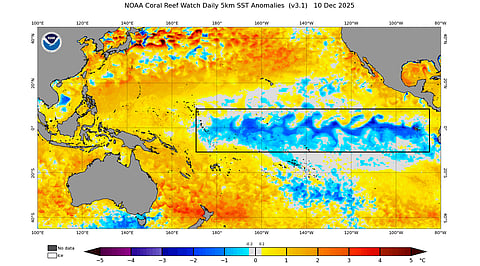 NOAA’s Sea Surface Temperature (SST) anomalies around December 10, 2025