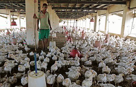 A simulated agent-based model recently helped us describe the initial stages of a potential H5N1 pandemic in India