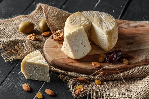 Can eating high fat cheese and cream reduce dementia risk, as a new study suggests?