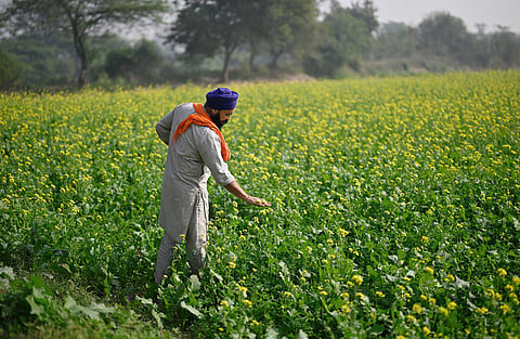 Only 1 in 4 marginal farmers in India linked to cooperatives, report finds