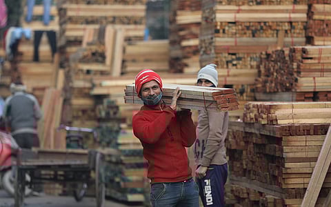 The specifics of India’s timber trade