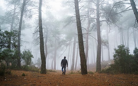 Biophobia: why some people hate nature — and what you can do about it