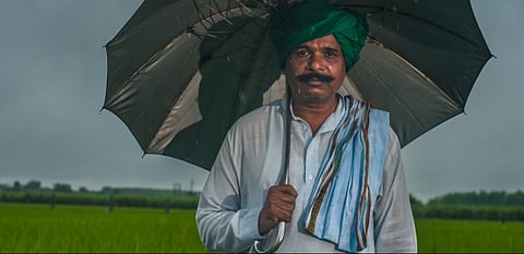 How I’m helping rice farmers in India harness the power of fungi in the soil
