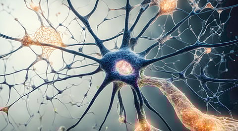 Genetic changes behind human brain complexity tied to autism, schizophrenia