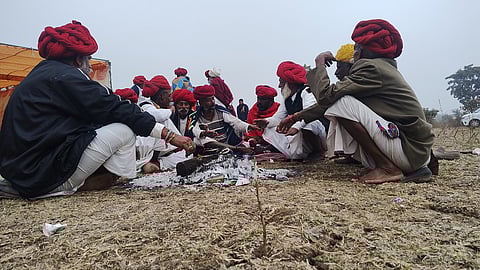 Pastoralism, a way of life as old as humanity, is vanishing say Maldharis and Rabaris