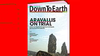 Highlights from the issue