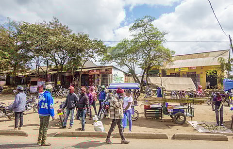 While the elections provided the immediate spark, the grievances driving Tanzania’s Generation Z run far deeper.