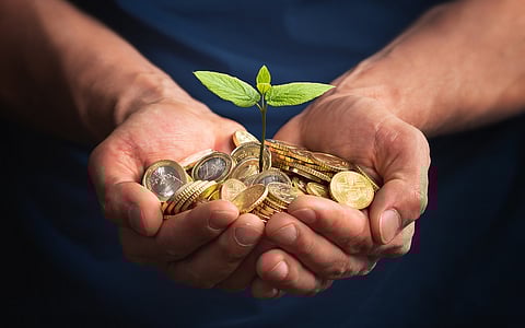 India’s sustainability reporting risks falling short on climate transition plans: IEEFA