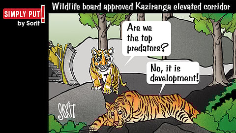 Development predator