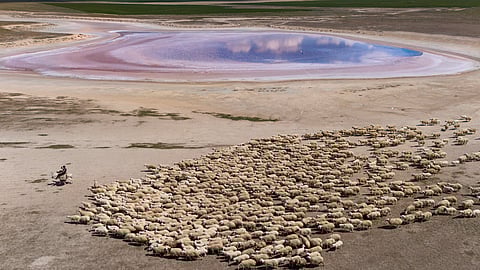 Water bankruptcy: UN report signals a post-crisis era for global agriculture