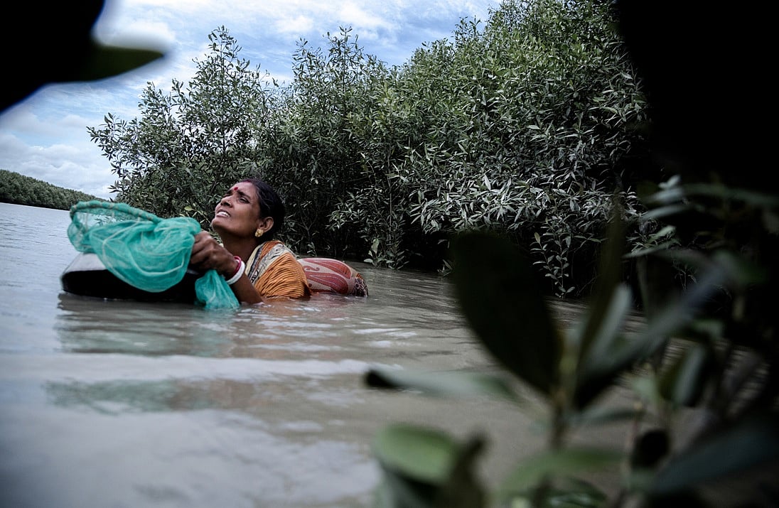 Is there is a gendered aspect to saltwater crocodile attacks in the Sundarbans? Research hints at possibility