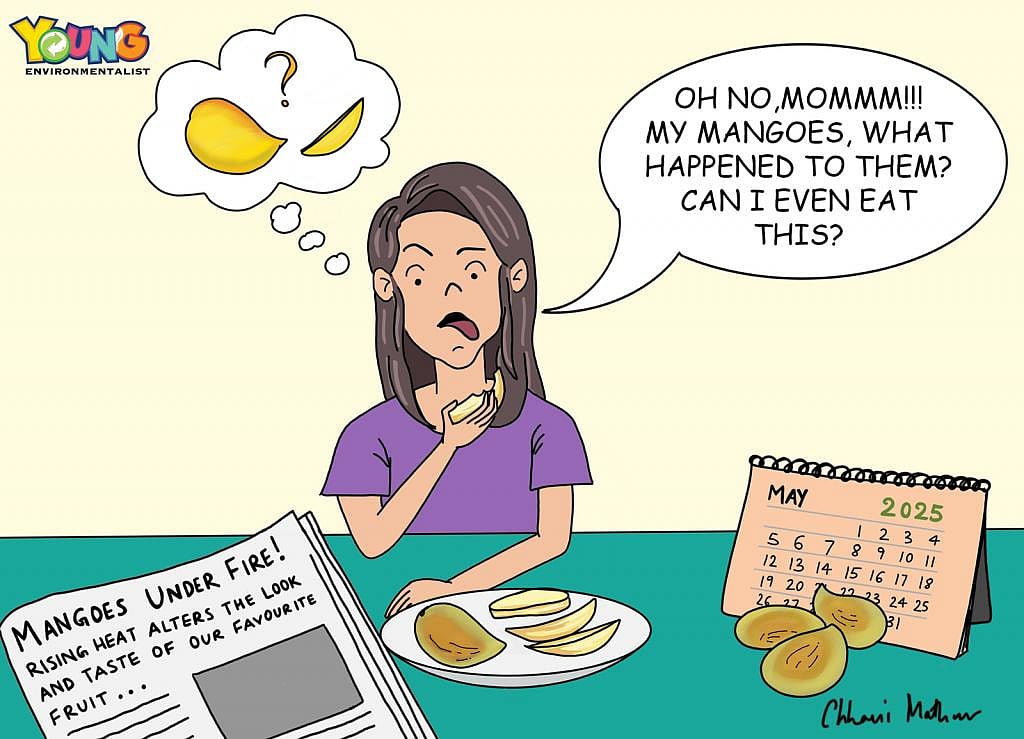 Gobar Times: Mangoes, ripe or roasted?