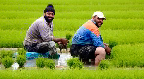 Food trade is not geopolitically neutral, but it is socially non-substitutable