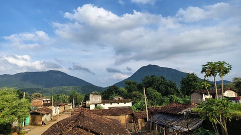 What Odisha’s Gandhamardan Hills taught me about food and ancient wisdom
