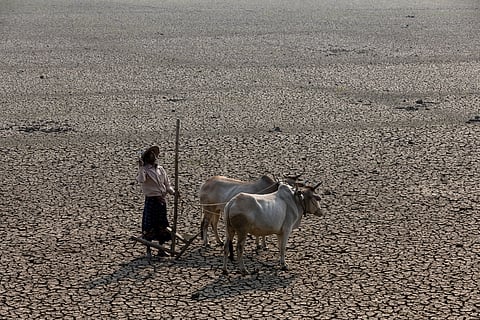 ‘First thing to do when solving water problems is to understand diversity’
