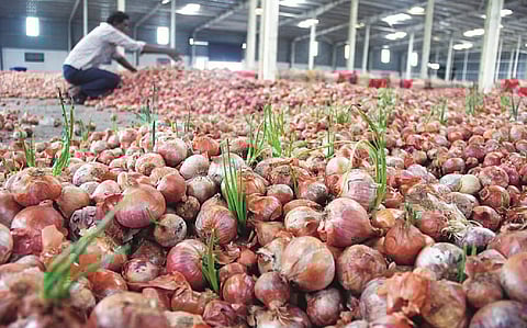 Economic Survey 2026: Consumption growth to slow down ‘slightly’ despite rise in domestic demand